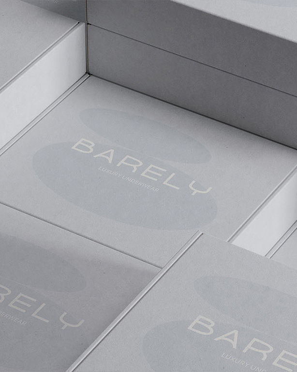 Image Identité Visuelle pour Barely
